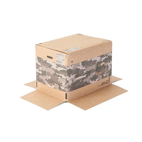 phantom pain cardboard box